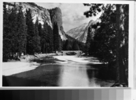 Copy Neg: MD 1986. Figure 31B. This view of the area shown in Fig. 31A was taken in 1943. The river bank on the left borders Camp 7 and the shrubs and herbaceous plants formerly present have been trampled out by campers. Trees are much more abundant than when the Figure 31A photo was taken.