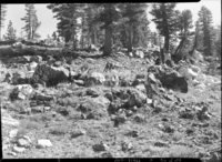 Schelite mineral claim near Dorothy Lake.