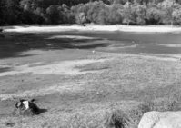 Looking nw from island showing sand bars.