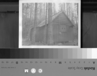 Foresta. Beacoch Cabin 1953. Hap Tawbest 1964-To.