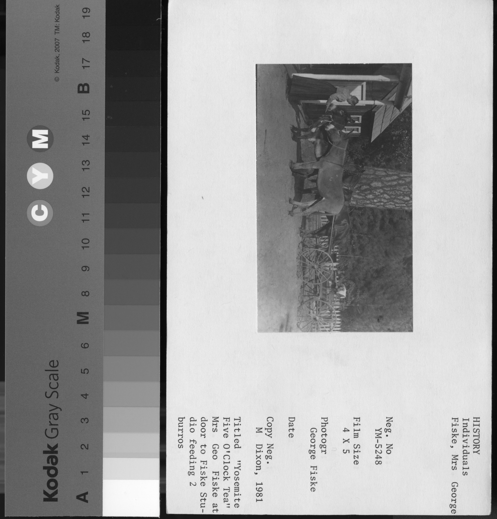 Coy Neg.: Michael Dixon, 1981. Titled: "Yosemite Five O'Clock Tea". Mrs. Geo. Fiske at door to Fiske Studio feeding 2 burros.