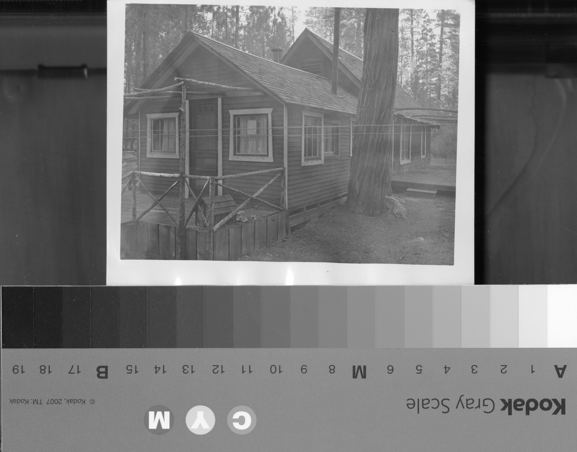 Foresta. Goodrich Cabin. 1954 YNPRL.