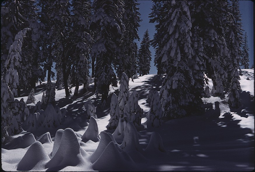 Yosemite National Park