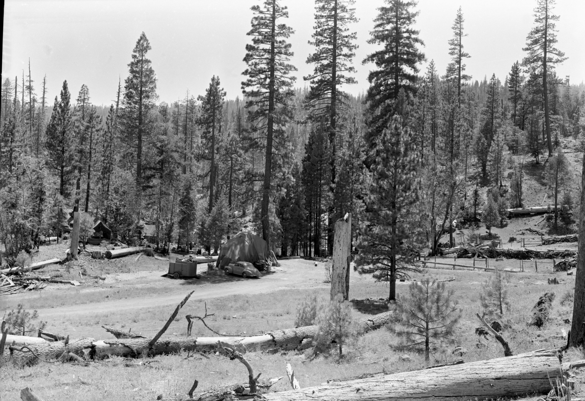 Cherry Valley area west of Lake Eleanor; (taken to record area before extensive reservoir development)