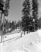 Badger Pass