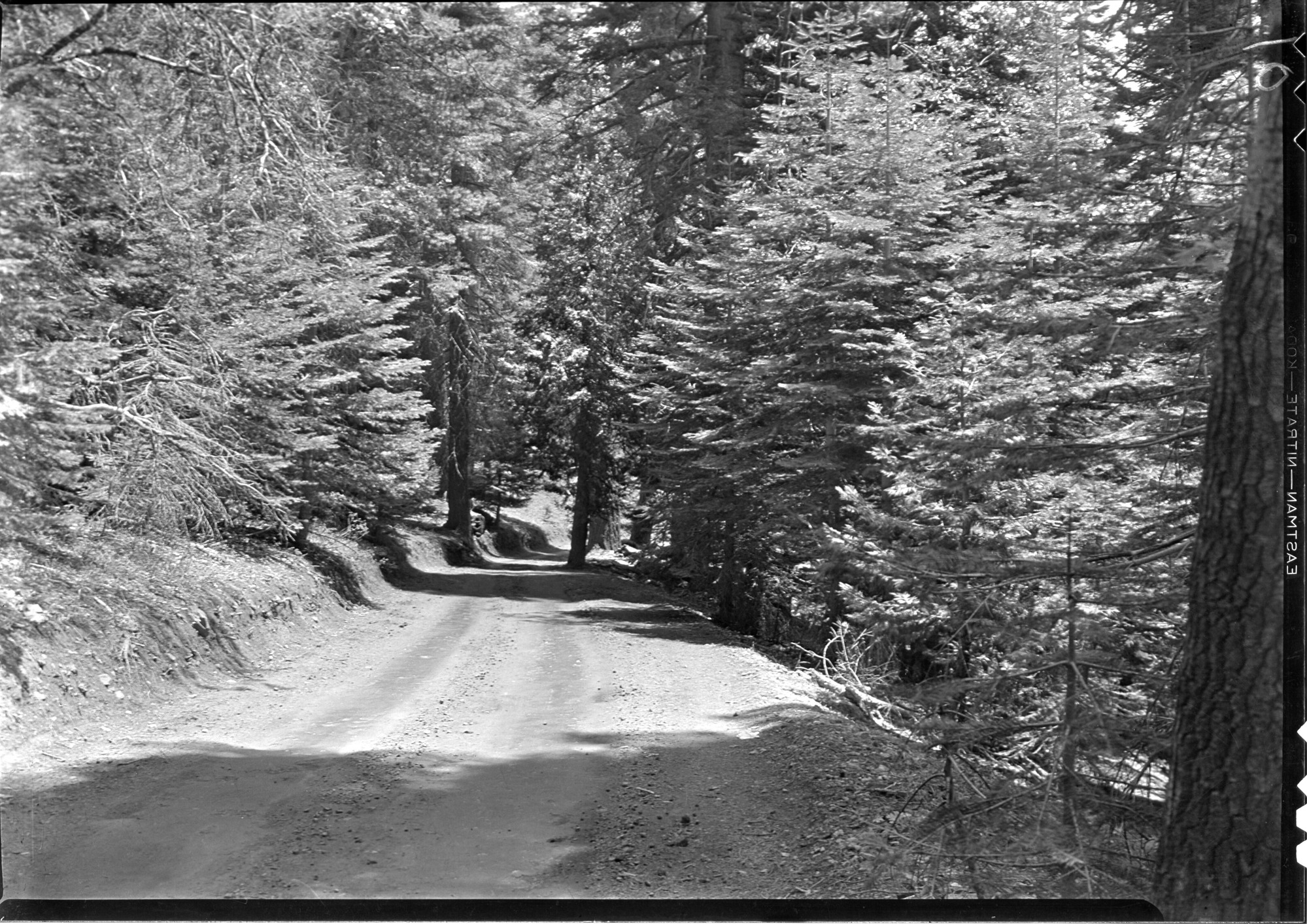 Road View of Big Oak Flat Road