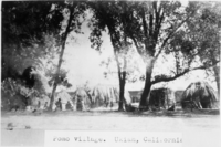 Pomo Village, Ukiah, CA. Copied by M. Dixon, May 1, 1980. (Filter 3, Exposure 14 sec. F/11, 16" (8 x 10), D 1/4 TL B-1c B-1 BR)