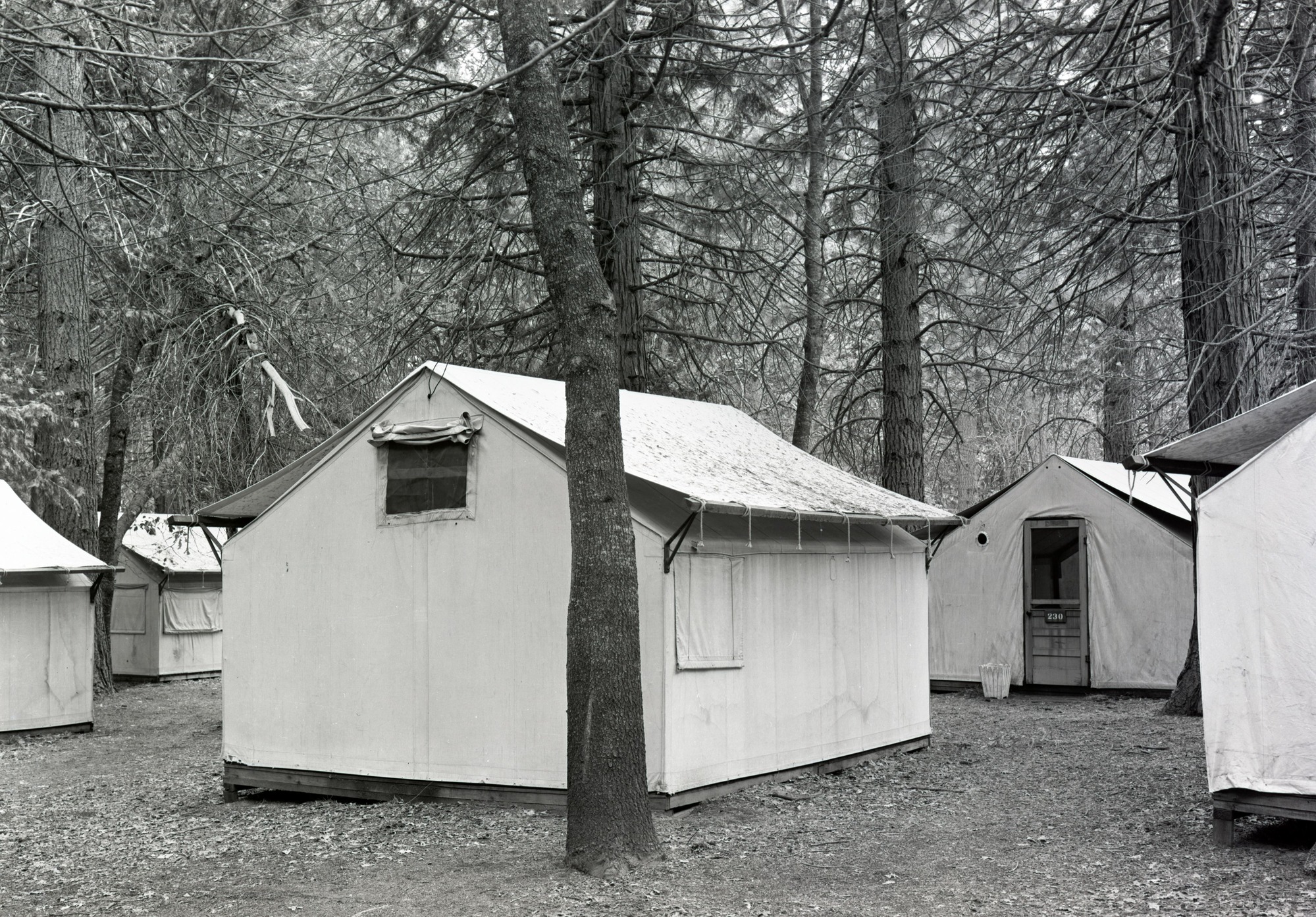 Tent at Yosemite Lodge, rear. Used in a concessions report dated June 6, 1947. In Yos. RL 979.447 Y-16c #31.