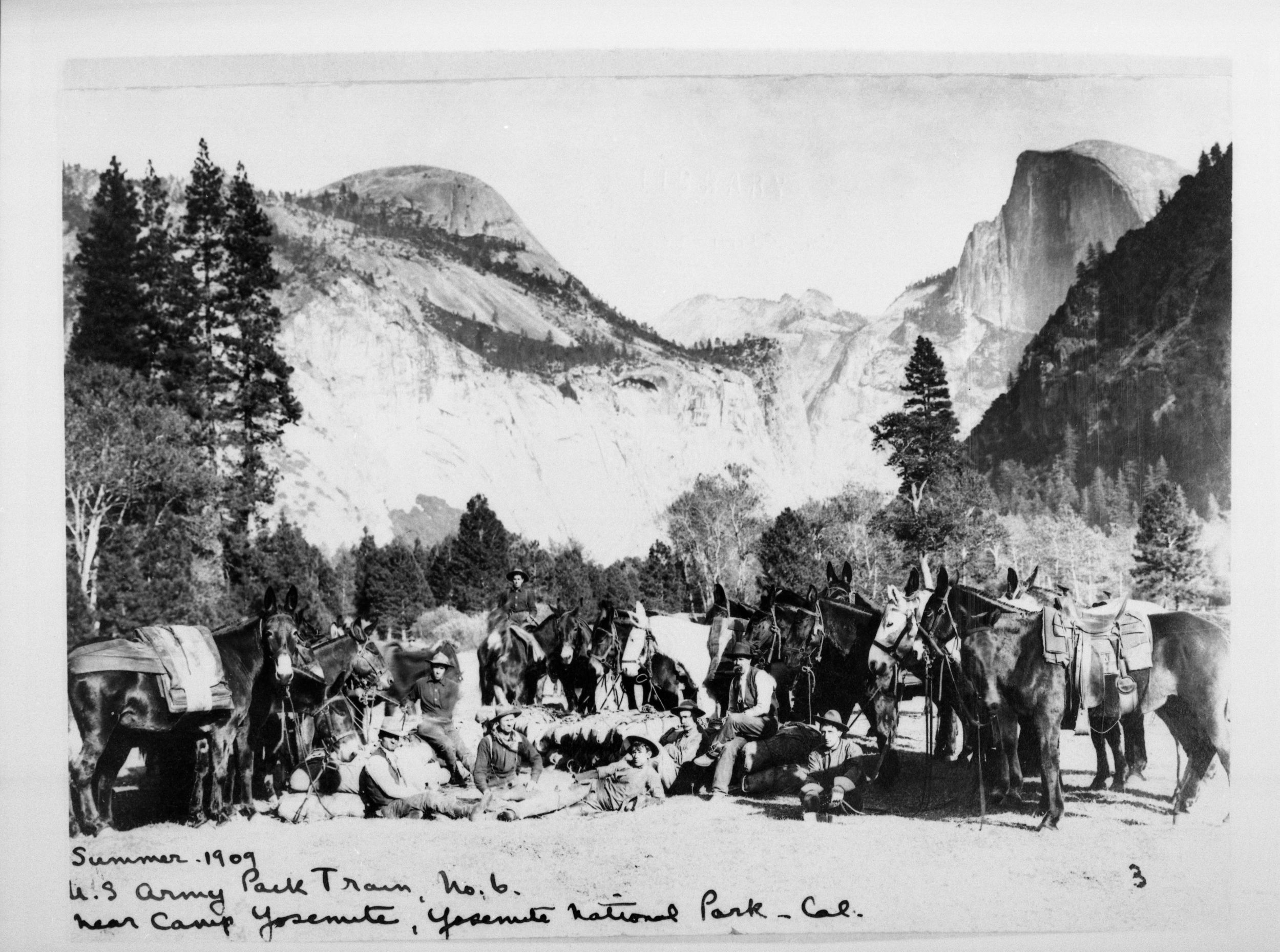 U.S. Army Pack Train No. 6 near Camp Yosemite, Yosemite Valley.