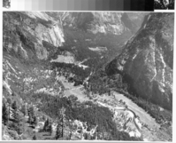 Copy Neg: MD 1986; Figure 8B from A Preliminary Survey of the Influence of White Man On The Vegetation of the Yosemite Valley. Yosemite Valley as it appeared from Eagle Peak in 1943. Many of the areas which were open ground are covered with a dense stand of trees.