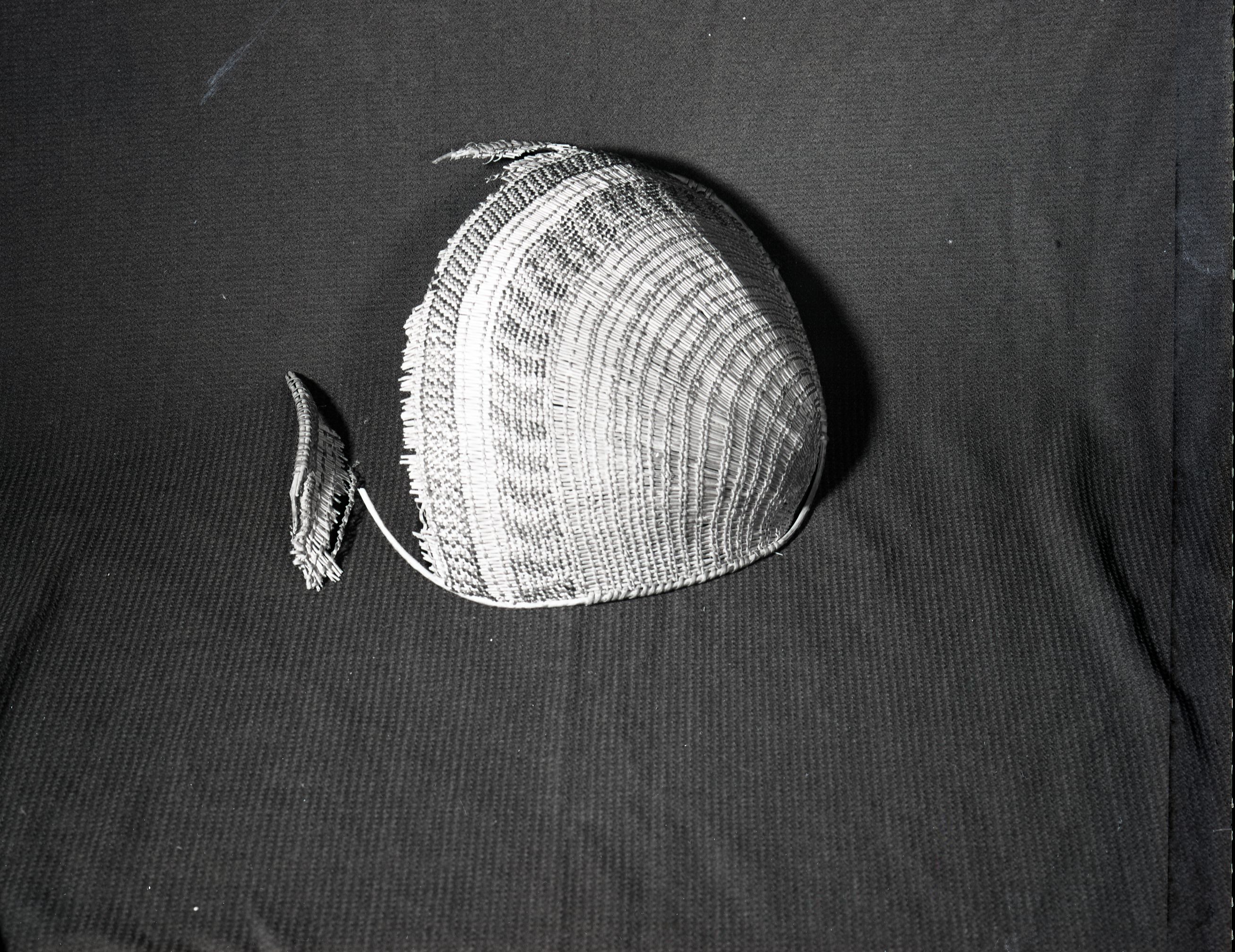 Western Mono type Winnowing basket. Once owned 6. Lena Cox. Material: Redbud, fern root, sedge root, sourberry sticks. c. 1 foot length. Owned by James Cox, Tuolumne Mewuk Rancheria, Tuolumne, Ca.