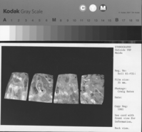 Copy Neg: 1981. See card with front view for information. Back view.