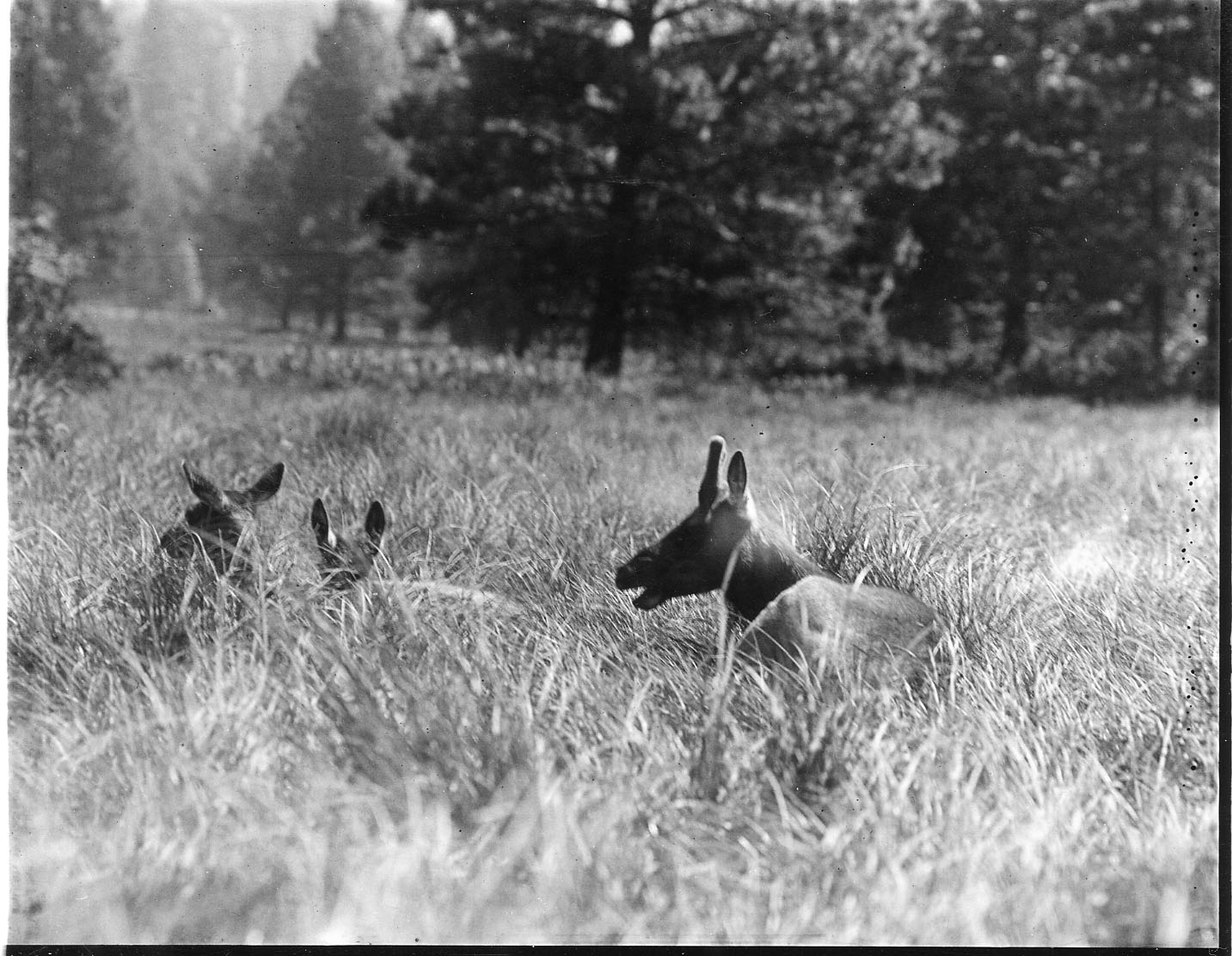 Yosemite National Park