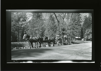 Roadscraper in Yosemite Valley