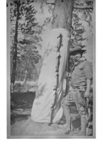 Neg. copied by J. Ernest, 1983 & by Mike Floyd, February 1992. Chief Ranger Forest Townsley.