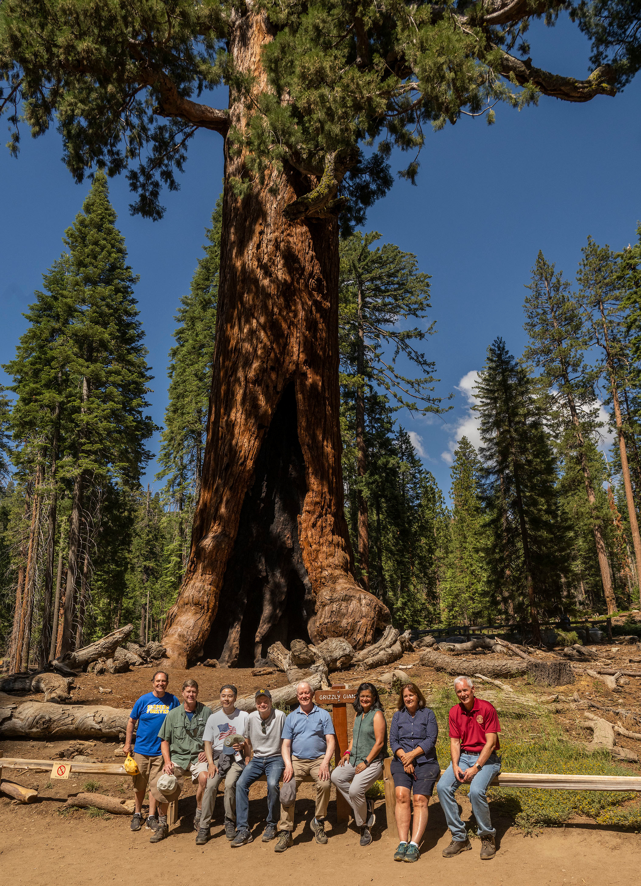 Congressional Delegation pose in front of Grizzly Giant