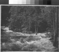 Copied from the photo album of Robert Lindsey, who worked on the Yosemite Valley survey, as a civil engineer from 1903-1905. Copied by Michael Dixon, October 1983.