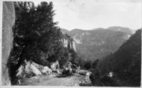 Stage on Coulterville Road. (On negative envelope: "Original Loand from G. Fiske 9-83" but not documented).