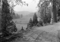 Copy Neg: October 1993, Brian Grogan. Wawona Drive (view over meadow).