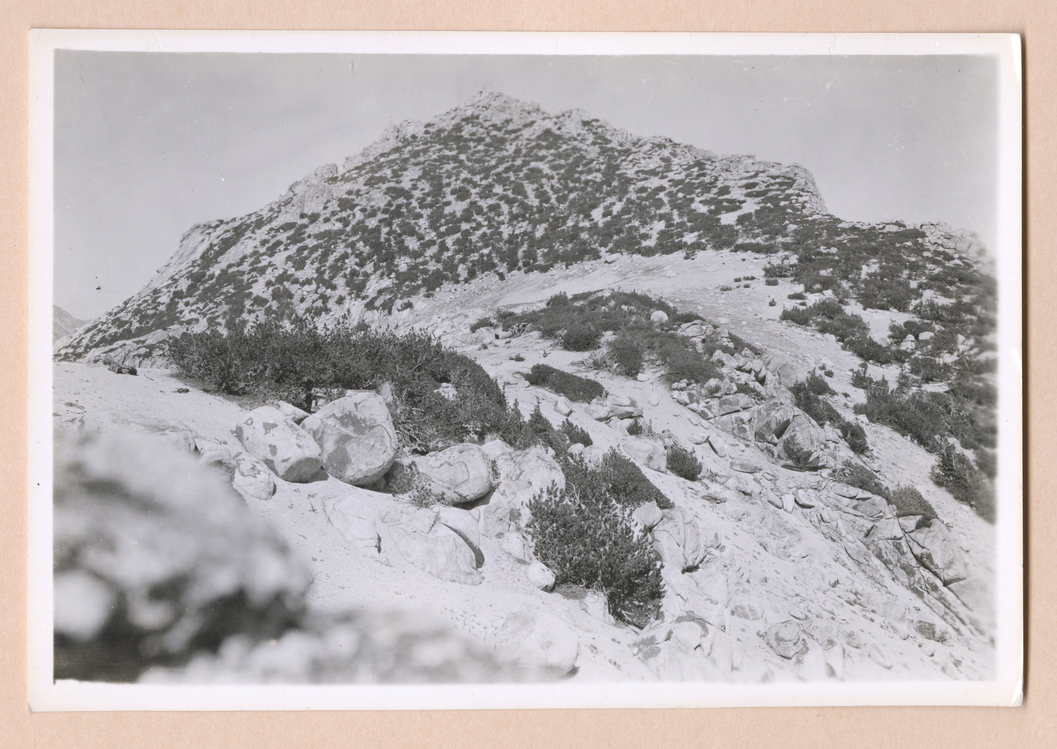 Party A pack 3 #6, Types Wp, Location 1/2 mi SW of Crown Point