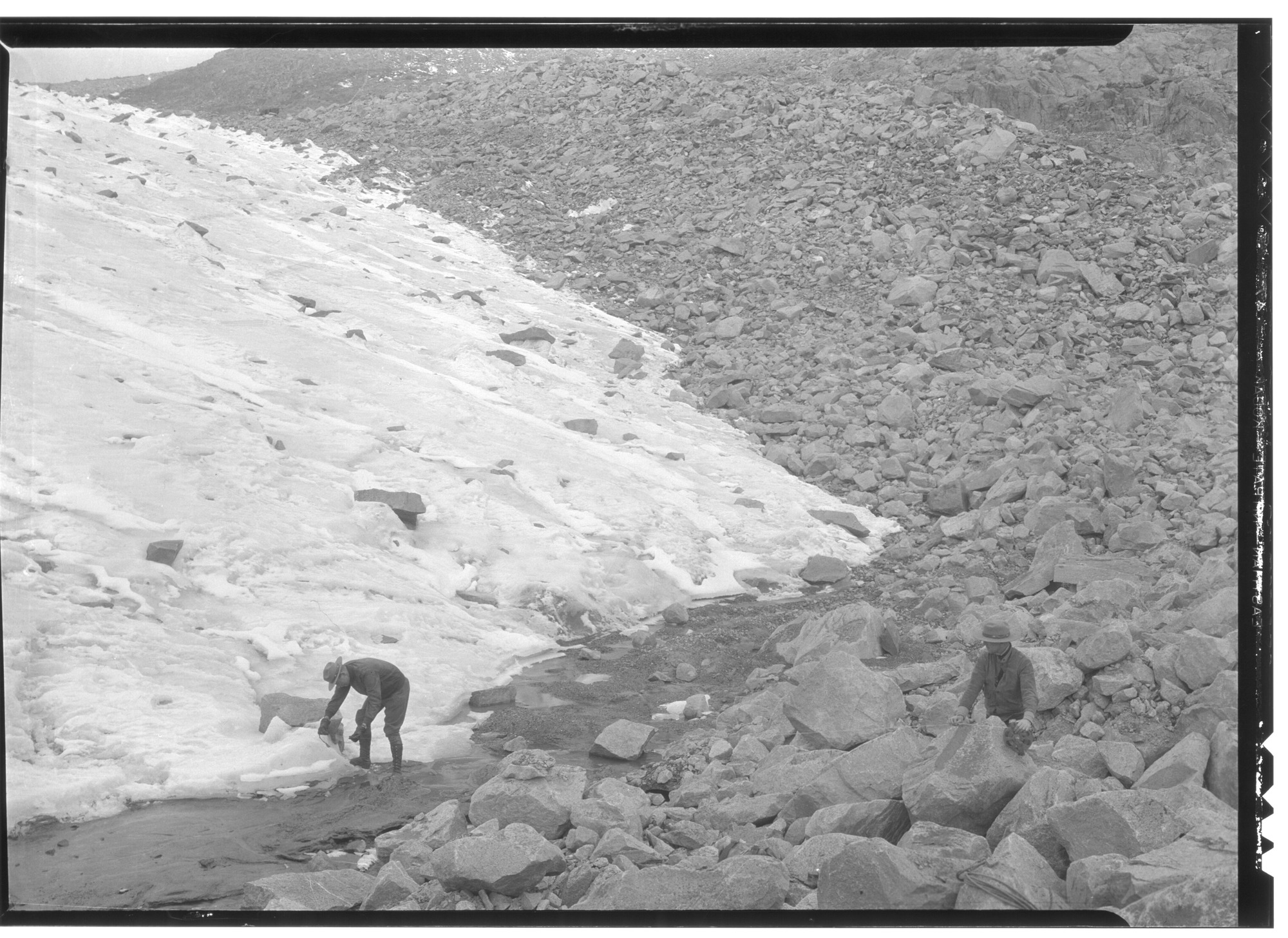 Westerly Lobe of Lyell Glacier