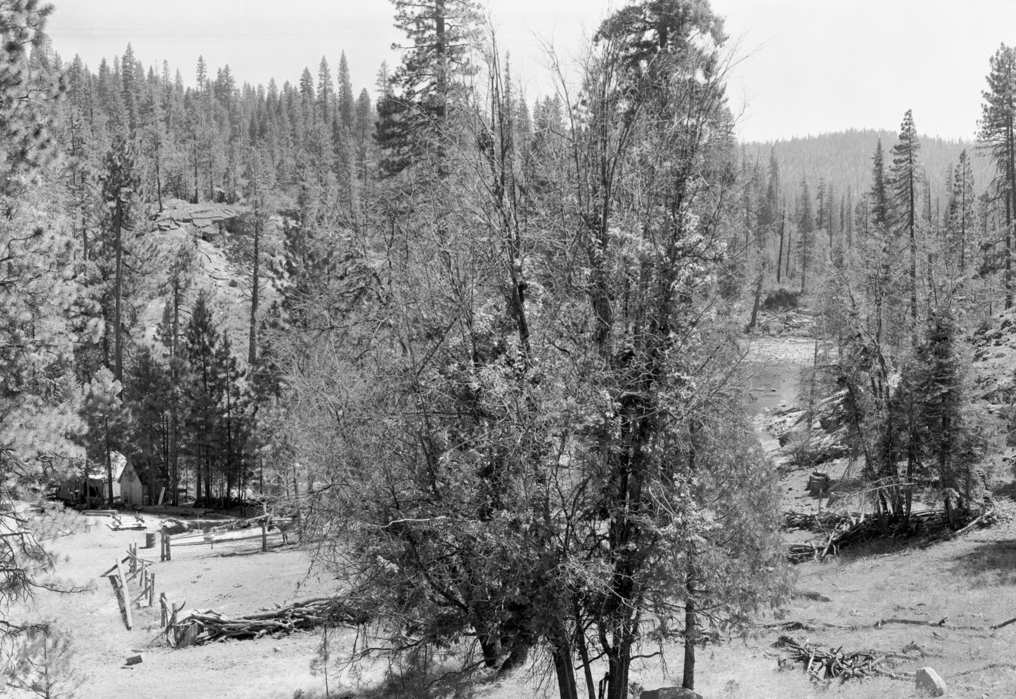 Cherry Valley area west of Lake Eleanor; (taken to record area before extensive reservoir development)