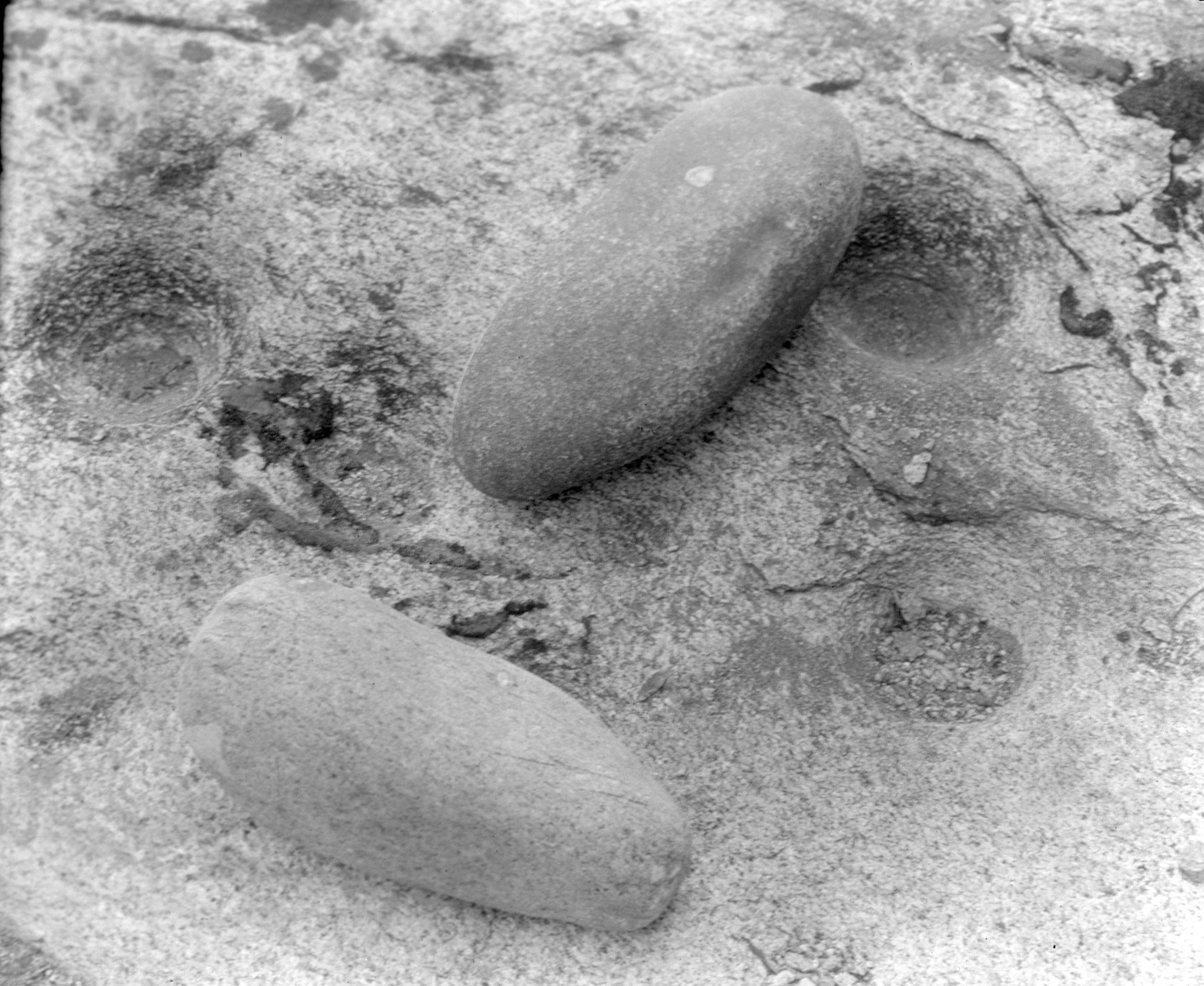 Indian mortar holes & pestler (Pate Valley) gray granite. 1934 Yosemite Field School.