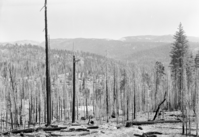 Cherry Valley area west of Lake Eleanor; (taken to record area before extensive reservoir development)