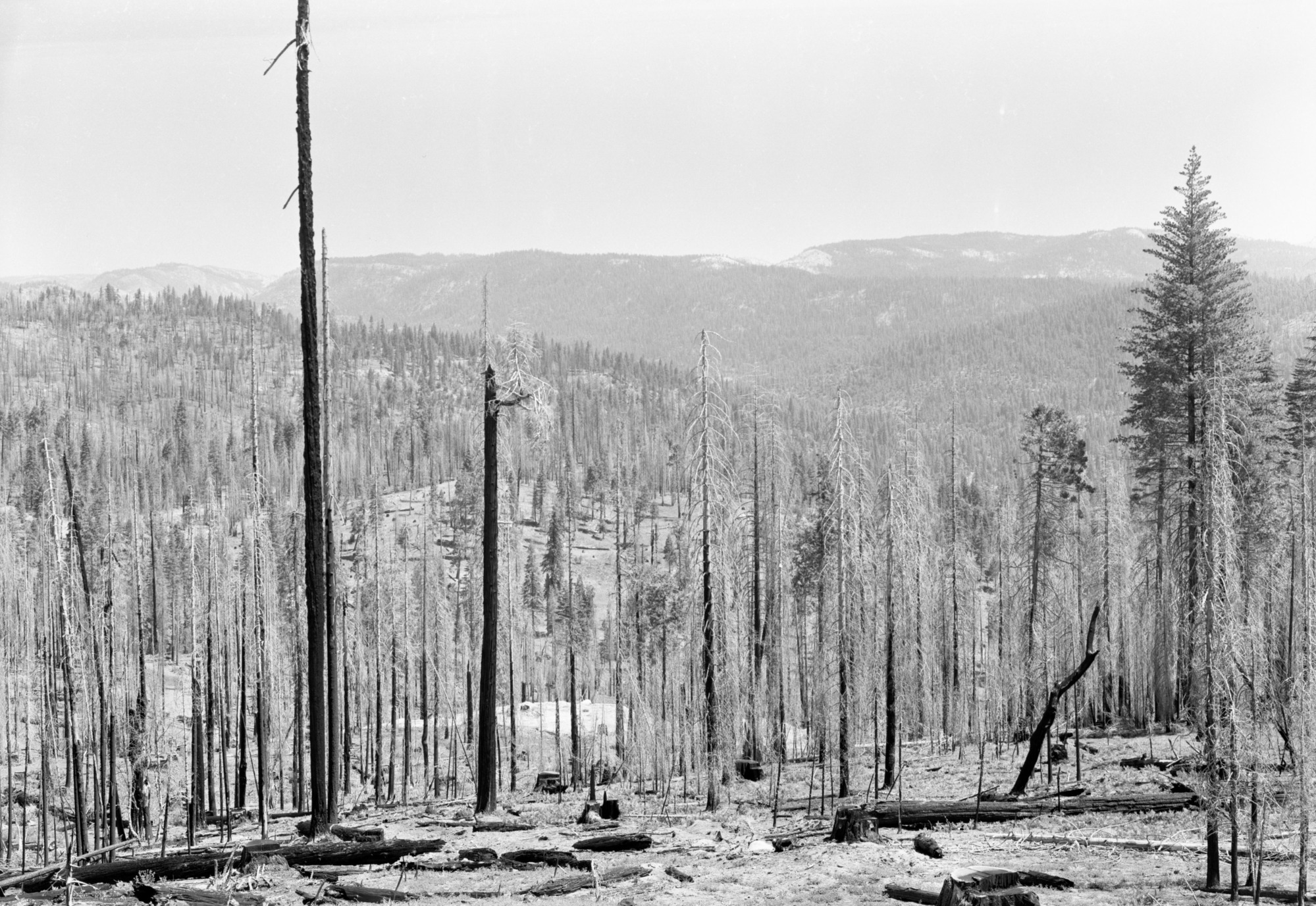 Cherry Valley area west of Lake Eleanor; (taken to record area before extensive reservoir development)