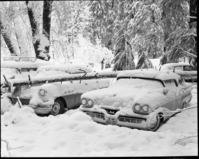 Snow scene - Yosemite Valley.