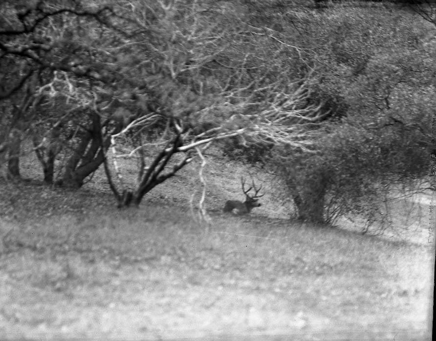 Sequoia National Park