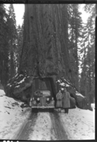 Mr. & Mrs. Whitesells