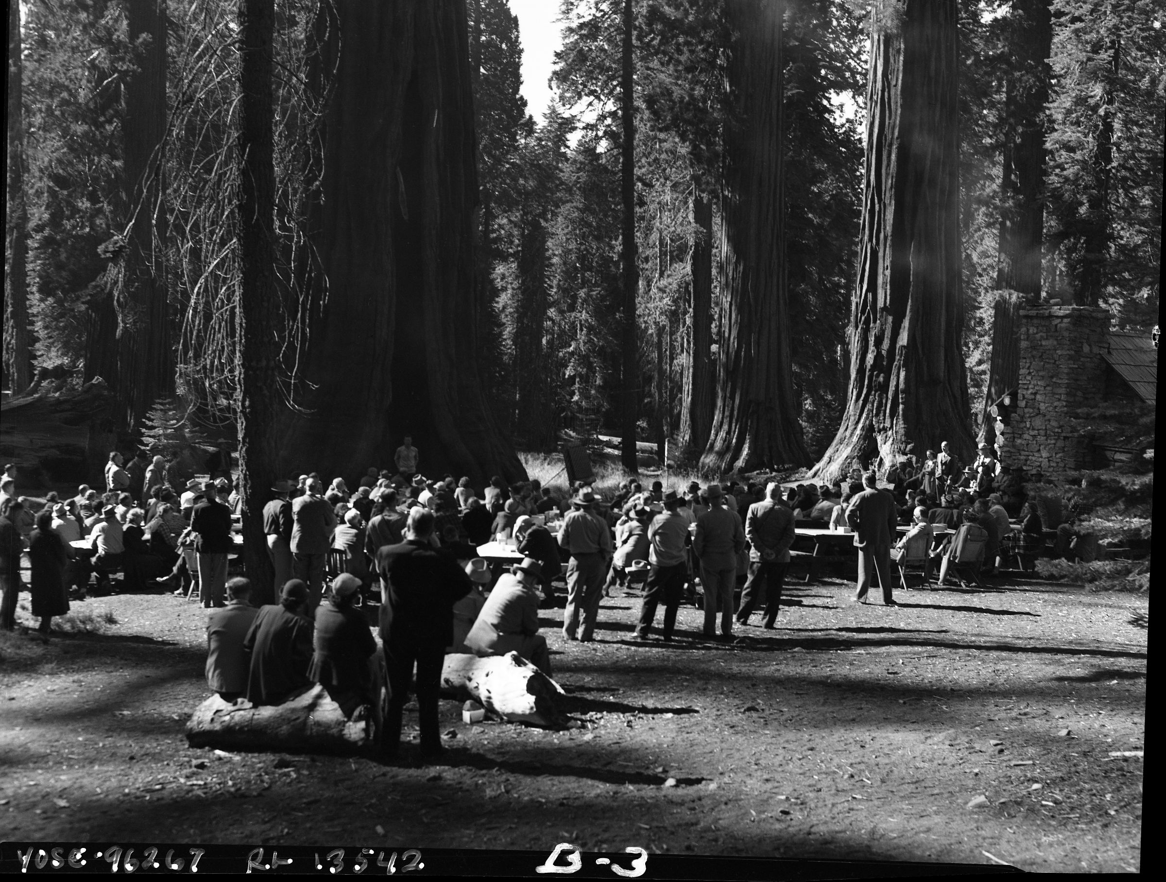 NPS Conference in Mariposa Grove near cabin.