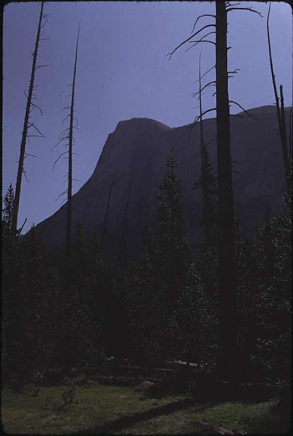 Medlicot Dome from Ghost Forest