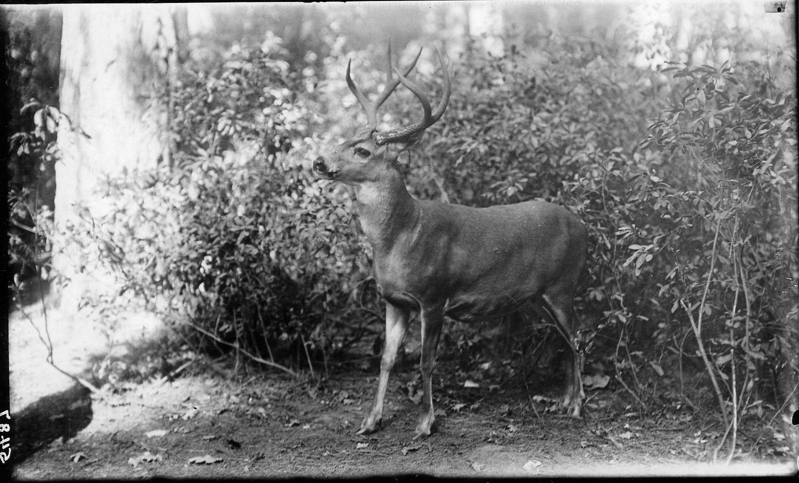 Yosemite National Park