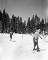Badger Pass