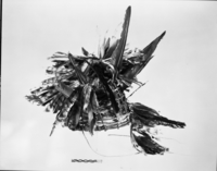 Pomo headpiece. Smithsonian Institute, Cat. #253,656, Neg. #75-8942