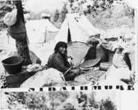 Leanna Tom, wife of Bridgeport Tom. Basket at right near sacks of acorn is in Field Museum of Natural History, Chicago - CDB 1-27-81