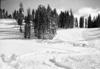 After record snowfall at Badger Pass.