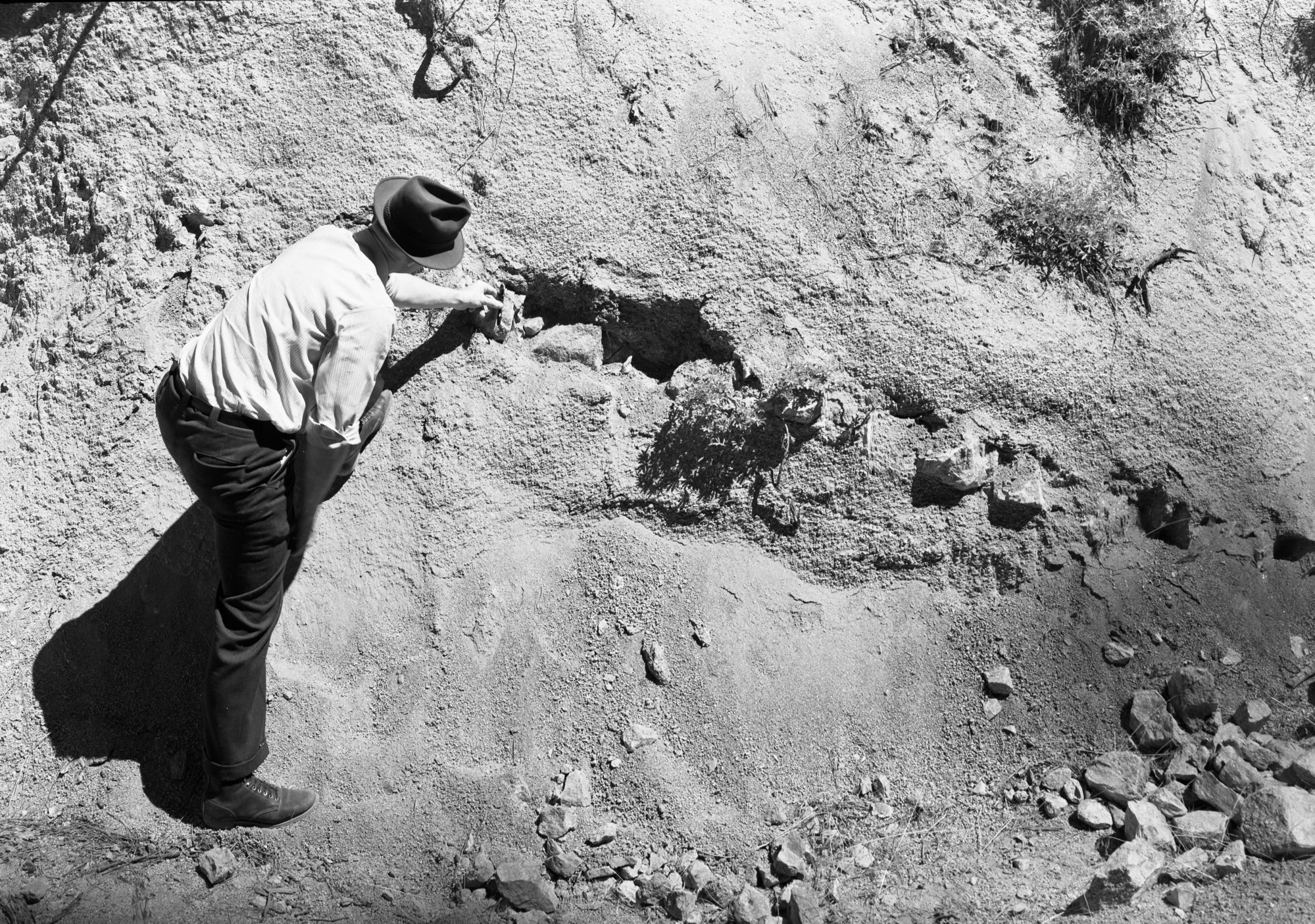 Mining claim, Wawona.