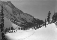 Canyon east of Tenaya Lake.