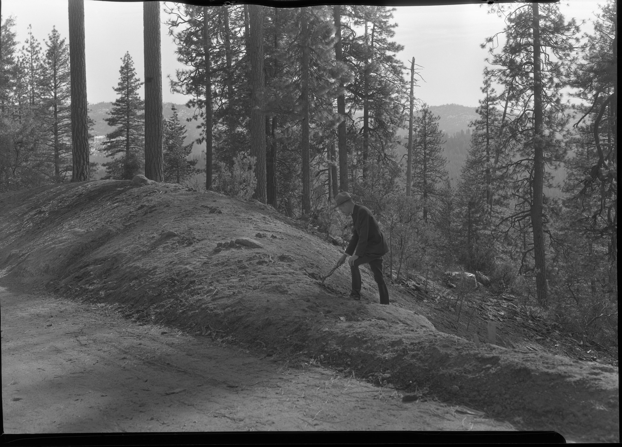 Myers Pass Road Bank