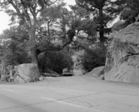 Foresta. Entrance to Coulterville Road. C-3.