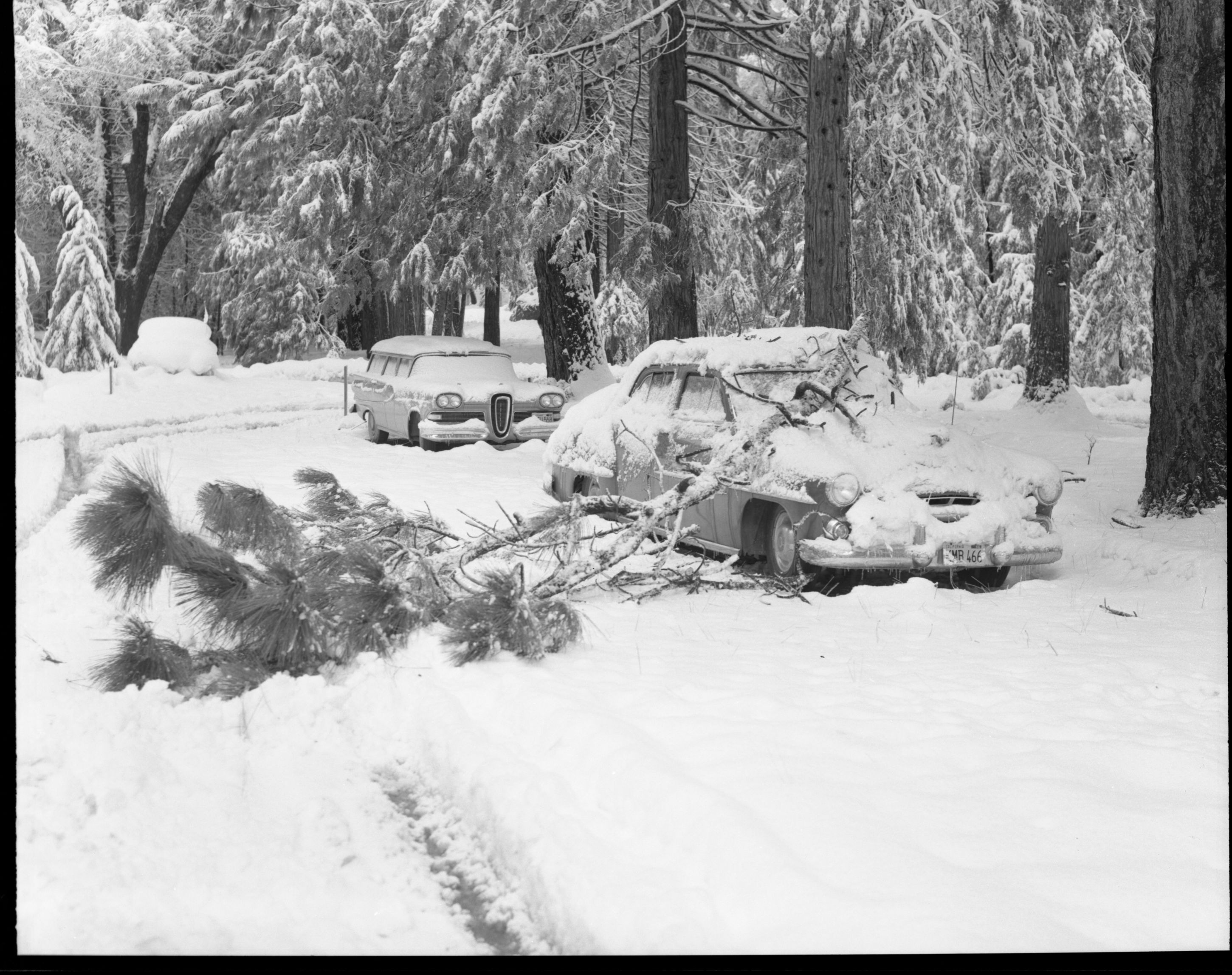 Snow scene - Yosemite Valley.
