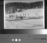 [Skiing at Badger Pass. Yosemite - Chief Park Naturalist].