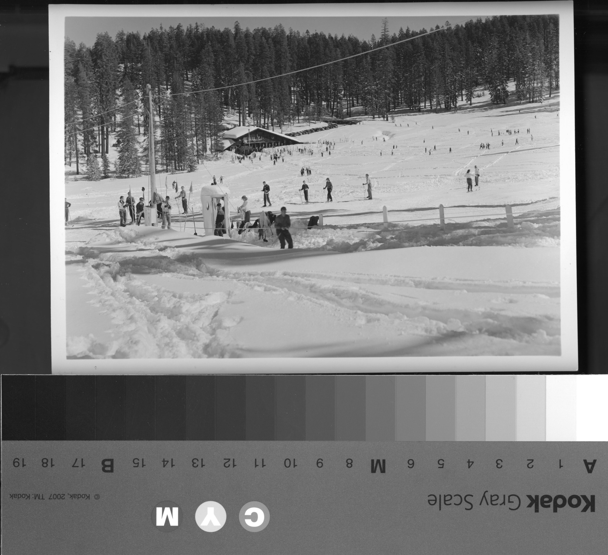 [Skiing at Badger Pass. Yosemite - Chief Park Naturalist].