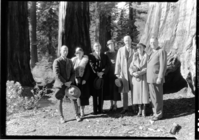 Congressional party in Mariposa Grove. L-R: Col. C.G. Thomson, Supt.; Mrs. Austin; Senator Van Nuys, Indiana; Mrs. Van Nuys; Senator Felix Hebert, R.I.; Mrs. Hebert; Senator Warren R. Austin, VT.