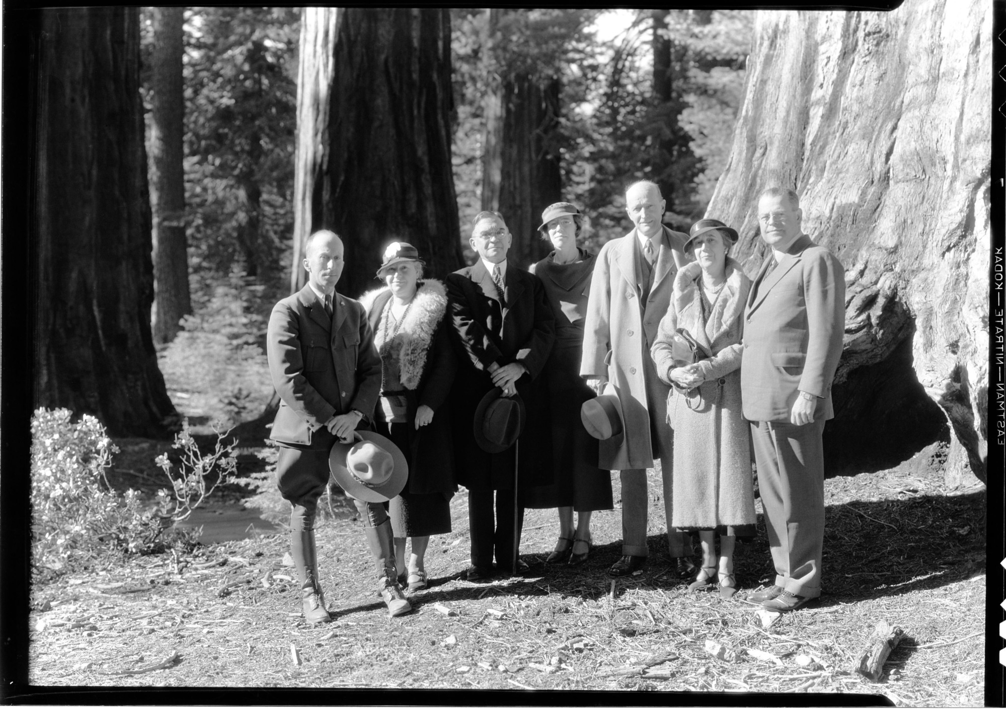Congressional party in Mariposa Grove. L-R: Col. C.G. Thomson, Supt.; Mrs. Austin; Senator Van Nuys, Indiana; Mrs. Van Nuys; Senator Felix Hebert, R.I.; Mrs. Hebert; Senator Warren R. Austin, VT.