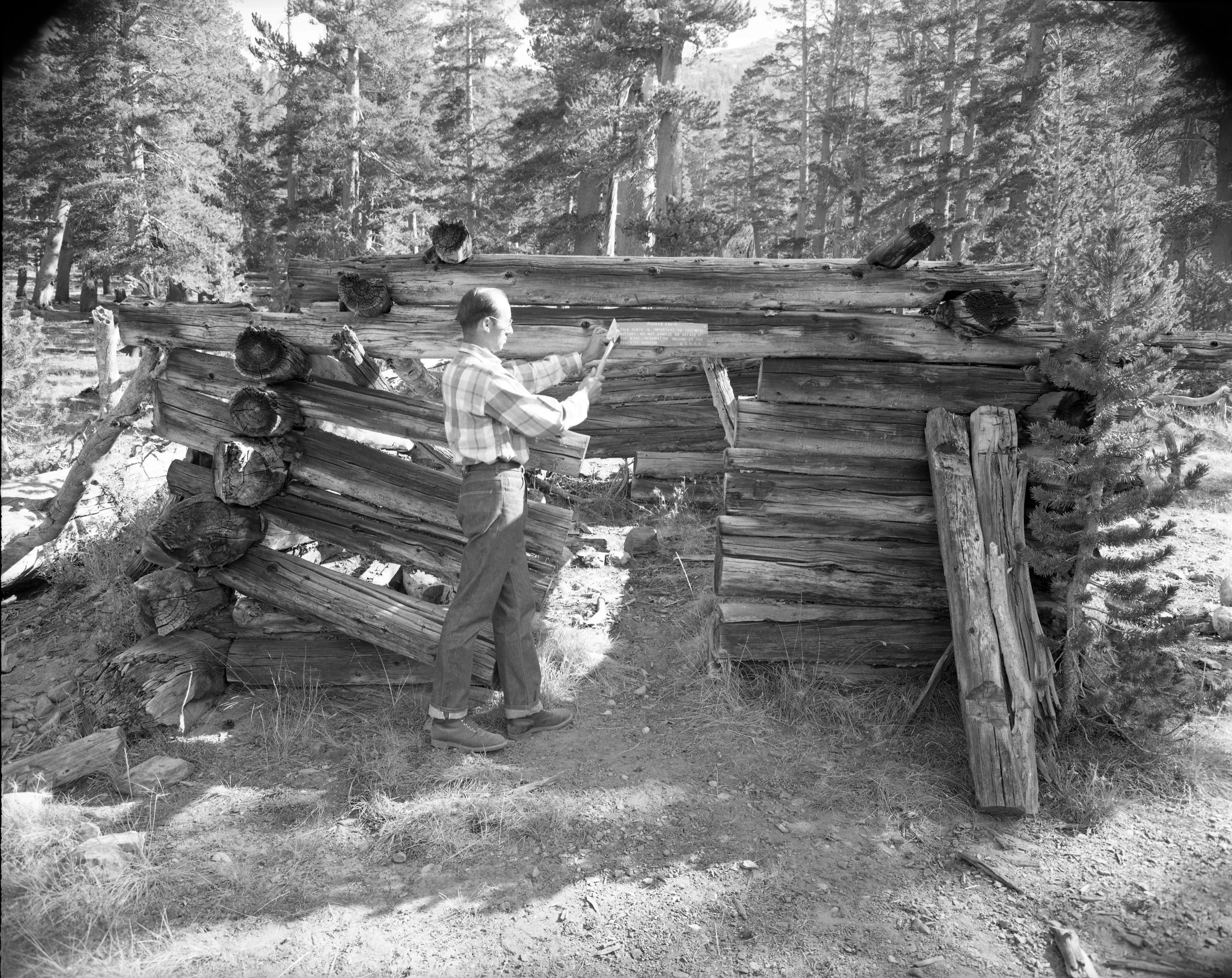 Pioneer cabin along trail to Mono Pass.