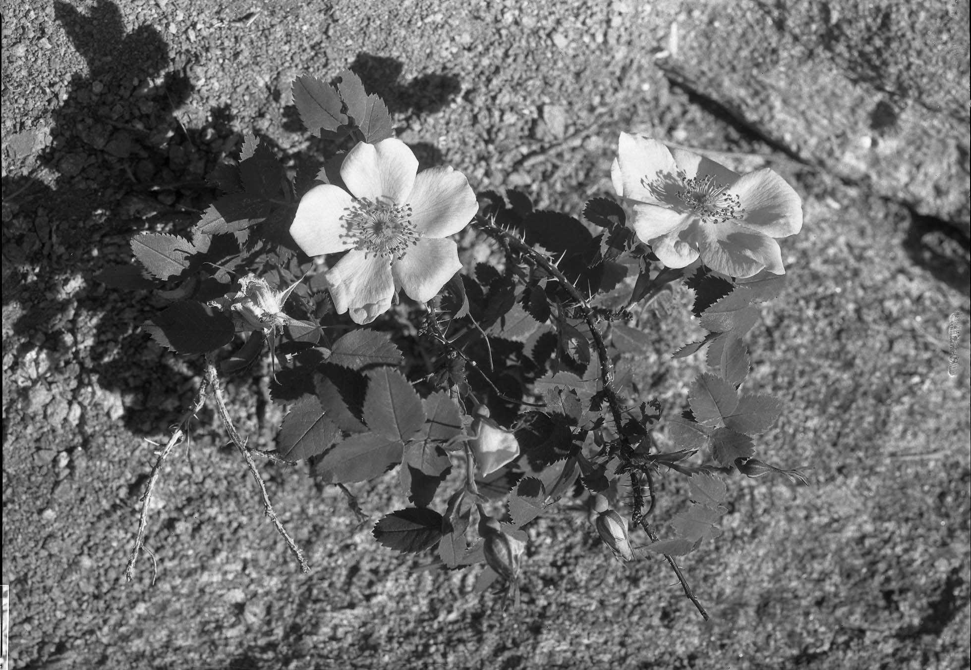 Rocky Mountain National Park